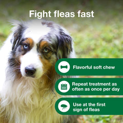 Dog happily accepting advantus chew, demonstrating easy acceptance and fast relief
