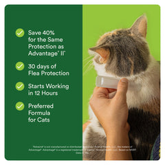 Advecta aplicando en gato entre omóplatos para protección mensual
