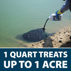 Airmax Nature's Blue being poured into pond demonstrating easy direct-application