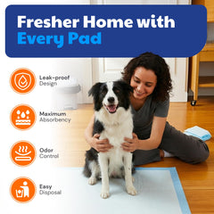 American Kennel Club close-up of quilted top layer for gentle paw comfort