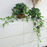 alyptus front view potted faux pothos showing ready-to-display greenery and easy decor