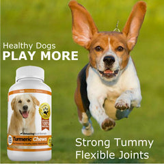 Amazing Nutritionals perro disfrutando la masticable aceptación y conveniencia