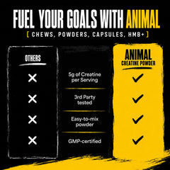 Animal creatine cuchara medidora con polvo para dosificación precisa