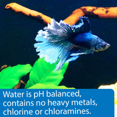 API Betta Water primer plano del envase mostrando etiqueta y detalles beneficiosos