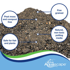 Aquascape maceta plantada en agua con raíces firmes y beneficio estético
