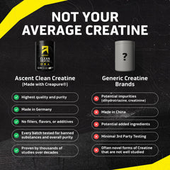 Ascent Creapure cucharada medidora con polvo, dosificación precisa y cómoda