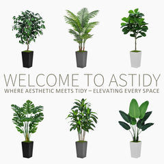 ASTIDY dracaena planter top view with moss providing polished, ready-to-display finish