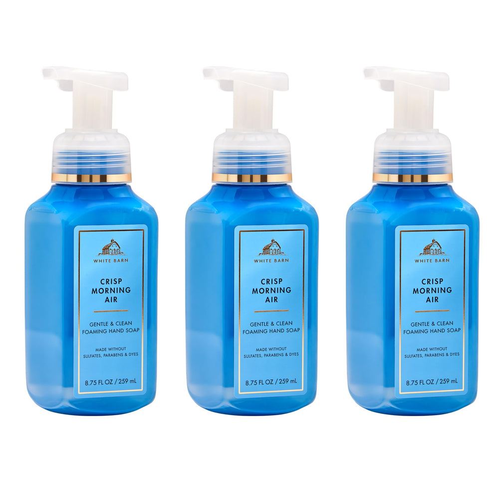 Bath & Body Works frente del envase Crisp Morning Air mostrando diseño y marca