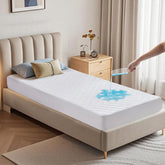BEDLORE protector frontal en empaque mostrando ajuste y protección