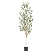 bellacat árbol de olivo frontal mostrando silueta realista y elegancia
