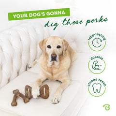 Perro masticando Benebone Wishbone para calma y entretenimiento prolongado