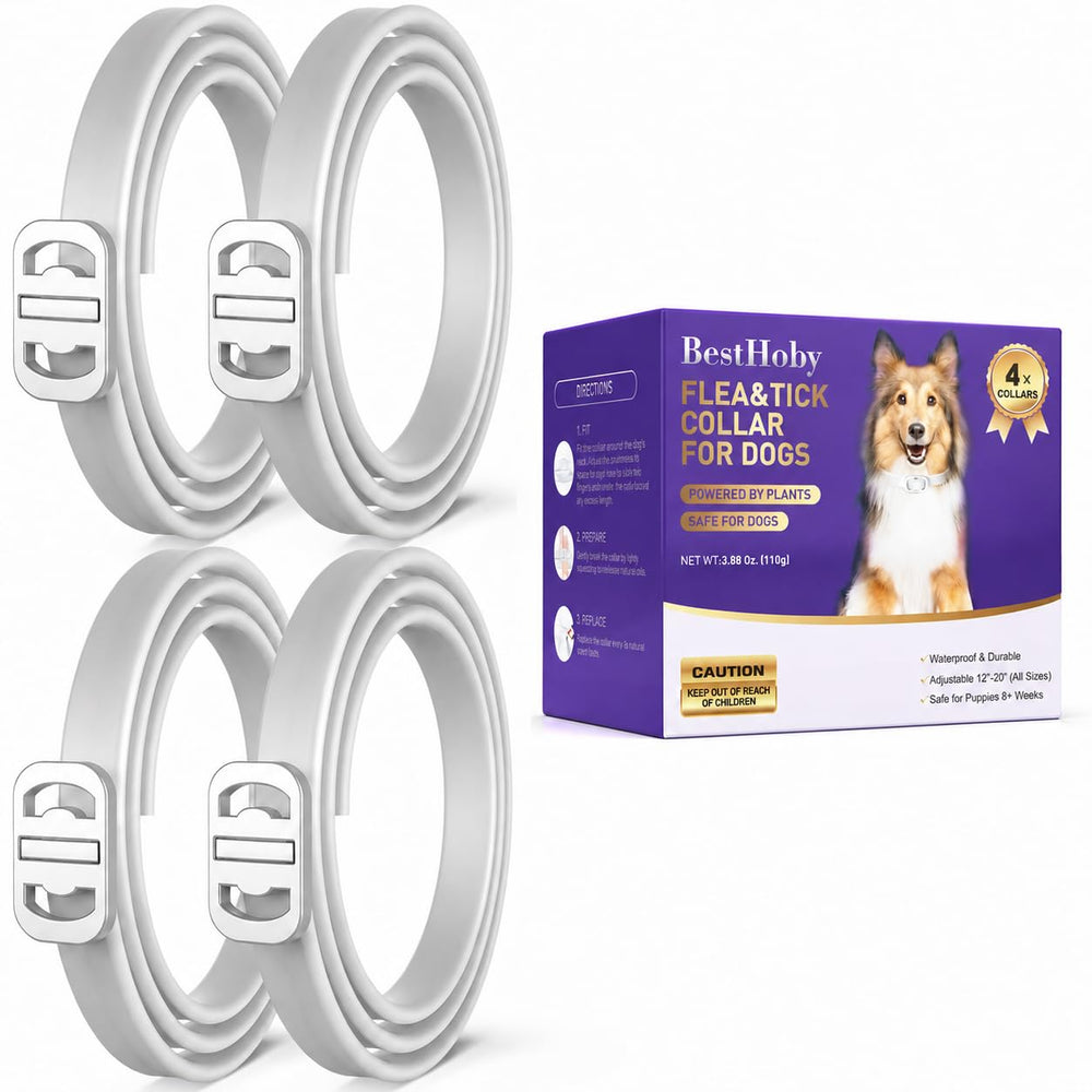 BestHoby frontal del empaque mostrando cuatro collares, cómoda compra múltiple
