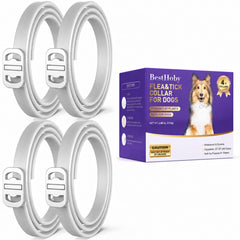 BestHoby frontal del empaque mostrando cuatro collares, cómoda compra múltiple