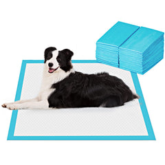 BESTLE front packaging showing 40-count pads and large size for easy selection
