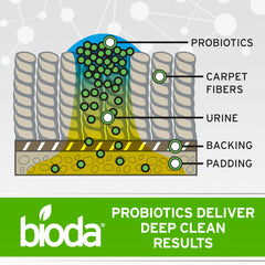 Bioda aplicado en contenedor de basura eliminando malos olores