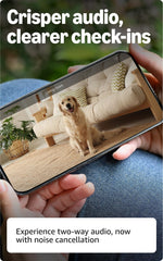 Blink Mini 2K+ vigilando mascota y ofreciendo tranquilidad en casa