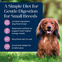 Blue Buffalo LifeSource Bits detallados que aportan antioxidantes esenciales