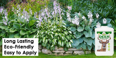 Bobbex detalle del concentrado y textura lista para diluir, facilita mezcla precisa