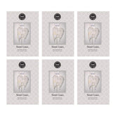 Bridgewater sachet frontal del paquete mostrando diseño y aroma