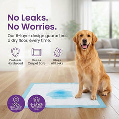 BV textura del núcleo mostrando gel absorbente y rápido secado