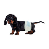 BV paquete frontal de pañales para perro macho mostrando 50 unidades y conveniencia