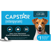 Capstar front packaging showing brand and small-dog dosage benefit