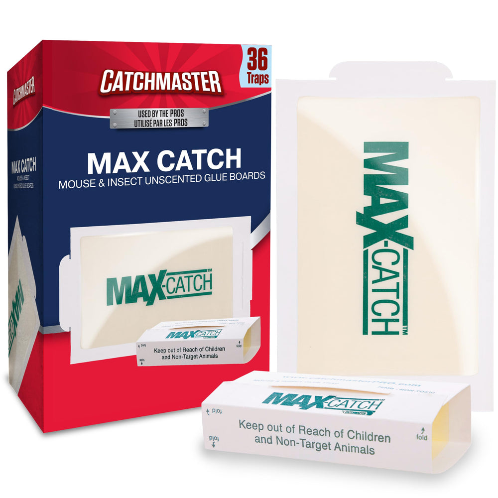 Catchmaster paquete frontal 36PK mostrando bandejas adhesivas, solución sin pesticidas