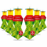 Catchmaster packaging front showing 6-pack and benefits