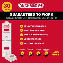 Catchmaster trampa colocada en zócalo capturando insectos y monitoreando actividad