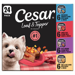Cesar front packaging showing variety pack and portion convenience