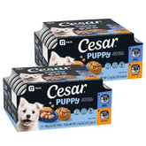 Cesar envase frontal mostrando pack doble y beneficio conveniencia