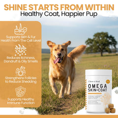 Chew + Heal Labs masticable en mano para mostrar tamaño y dosificación