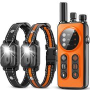 CIUZL dual-collar front view showing orange receivers and straps for clear identification and comfort