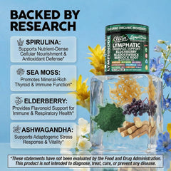 Clean Nutraceuticals capsule close-up showing fine powdered blend for convenient daily use
