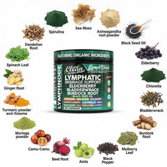 Clean Nutraceuticals sea moss detail emphasizing mineral-rich seaweed for cellular support