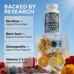 Clean Nutraceuticals etiqueta detallada con lista de ingredientes clara