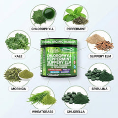 Clean Nutraceuticals peppermint leaf close-up emphasizing breath support benefit