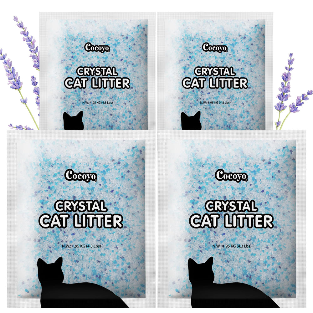 COCOYO front packaging showing lavender crystals and value pack convenience
