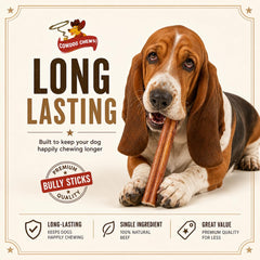 Cowdog Chews palito en mano para comparar tamaño y facilidad de uso