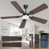 Crazypai front view showing fan and integrated light for modern style