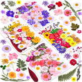 Cruzix paquete frontal con 140 flores secas, variedad y ahorro