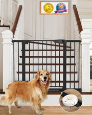 Cumbor front view of assembled gate showing secure barrier and clean design