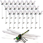 Cushry front packaging showing 24 colorful dragonfly clips for instant decor