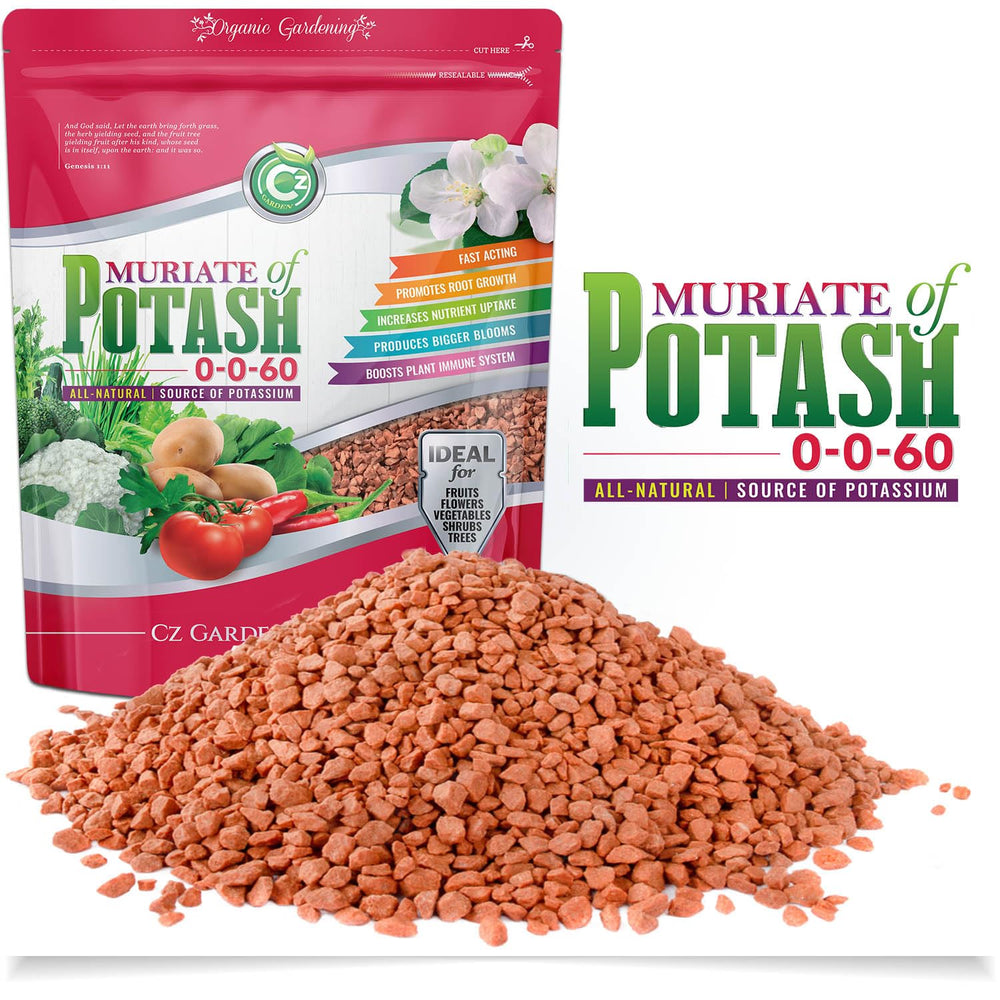 Cz Garden frente del paquete 5 lb mostrador almacenamiento seguro