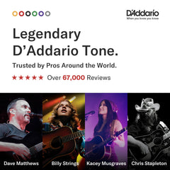 D'Addario primer plano del bobinado phosphor bronze mostrando durabilidad