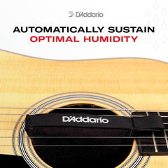 D'Addario Humidipak colocado dentro de estuche para mantener humedad