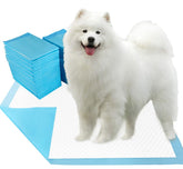 Dogcator empaque frontal mostrando 40 almohadillas y tamaño XL que facilita almacenamiento