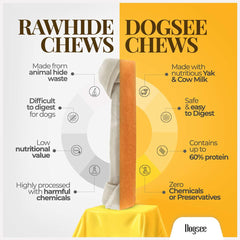 Perro de tamaño medio masticando Dogsee en parque para entretenimiento prolongado