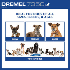 Dremel 7350-PET herramienta en mano mostrando control ergonómico