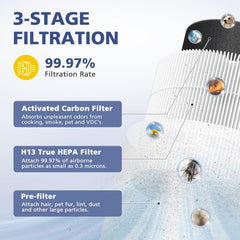 Ecleanfy pre-filtro fino que atrapa pelo y polvo para mejor flujo de aire